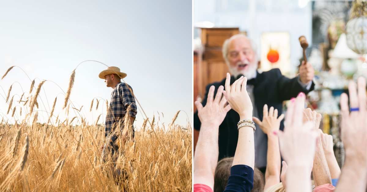 (L) A farmer wearing a checkered shirt and a hat standing in a cornfield. (Representative Cover Image Source: Getty Images| Mint Images), (R) Auctioneer with large crowd of buyers. (Representative Cover Image Source: Pexels| O2O Creative)