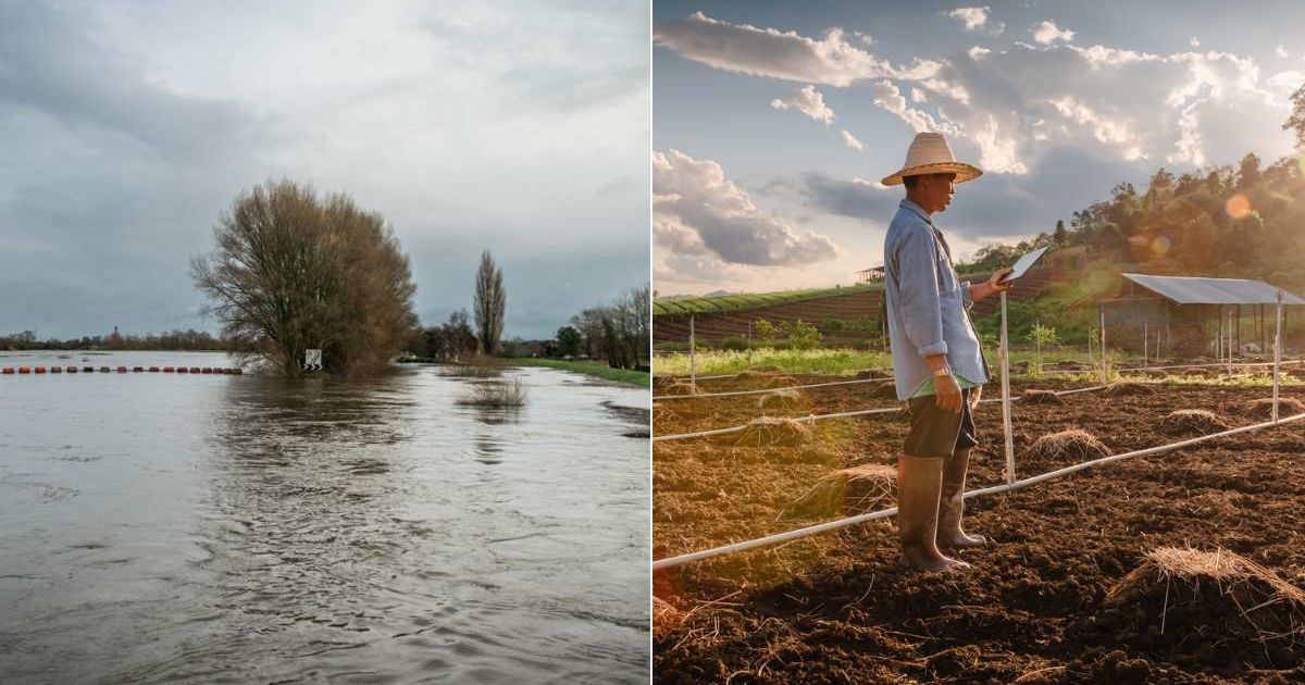 (L) A flooded river; (R) A farmer working on his land. (Representative Cover Image Source: Getty Images | Photo by Chris McLoughlin; KDP)