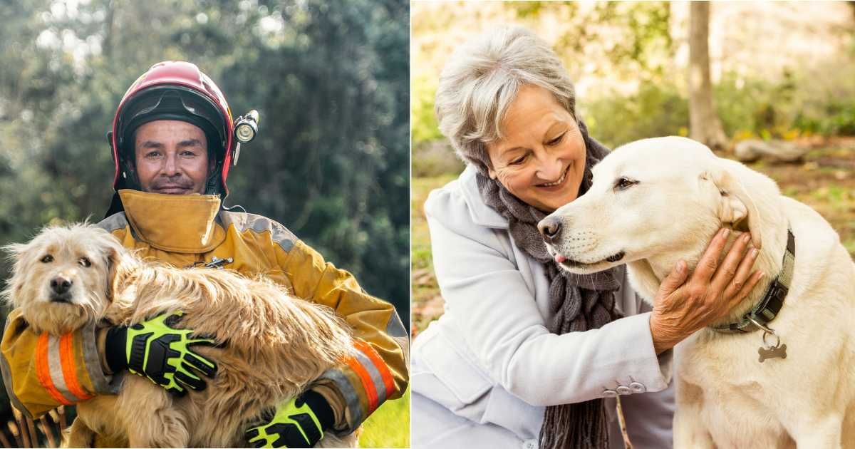 (L) Fireman holding a rescued dog outdoors after saving him from fire. (Representative Cover Image Source: Getty Images| Frazao Studio Latino), (R) Elderly woman holding pet dog affectionately. (Representative Cover Image Source: Getty Images| Wavebreak m