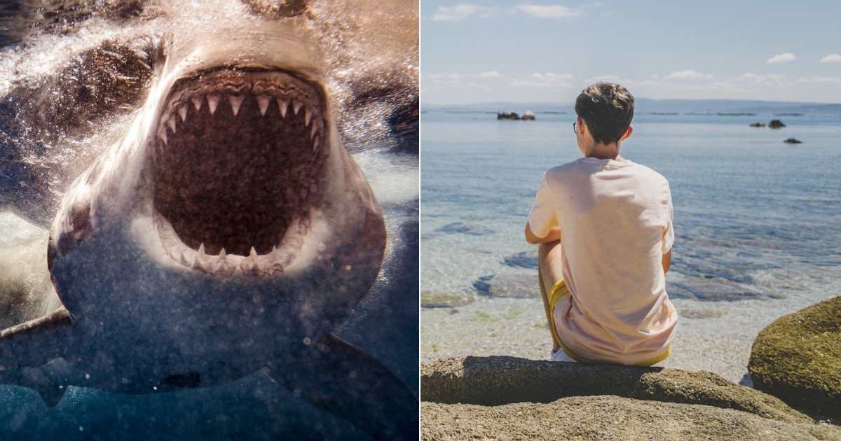 (L) A shark swimming with its mouth open. (R) A teen boy at the seashore. Representative Cover Image Source: Getty Images | Philip Thurston; Carol Yepes