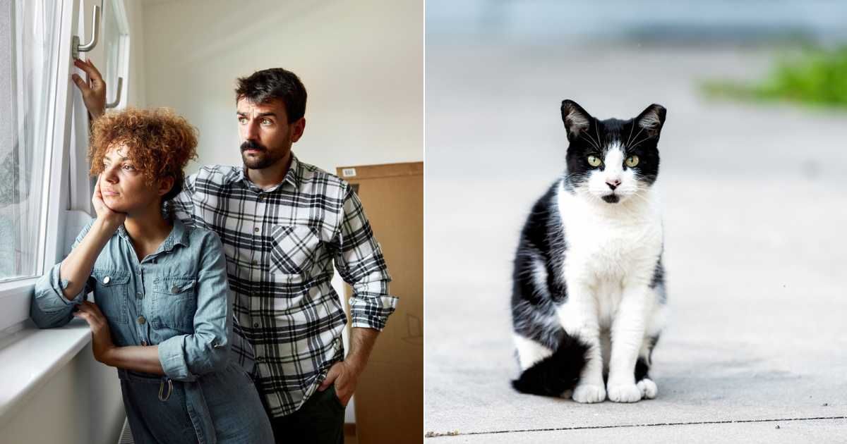 (L) Worried couple looking out of window in hopes to find something. (Representative Image Source: Getty Images| skynesher), (R) Black and white cat sitting by itself outdoors. (Representative Cover Image Source: Getty Images| krblokhin)