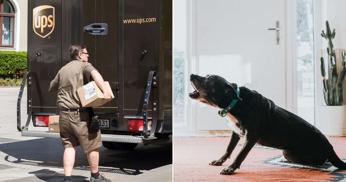 (L) UPS delivery driver unloading a truck. (R) A dog barking close to a door. Representative Cover Image Source: Getty Images | Ollo; Catherine Falls Commercial