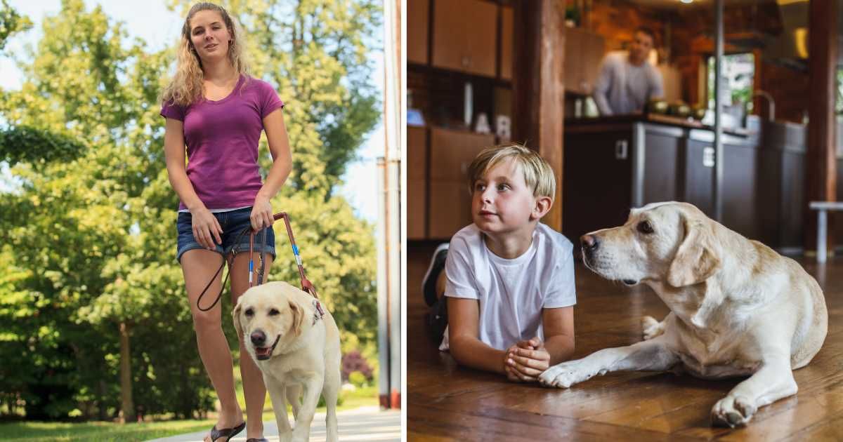 (L) A young blind woman walking with her service dog. (R) A little boy with his pet dog. (Representative Cover Image Source: Getty Images | Photo by (L) Mark J Hunt, (R) fotostorm)