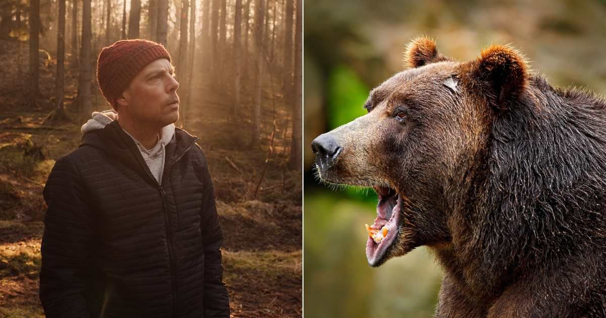 (L) Man hearing unusual sound in forest and looking around in worry. (Representative Cover Image Source: Getty Images| knape), Wild bear charging in attack. (Representative Cover Image Source: Getty Images| Ondrej Prosicky)