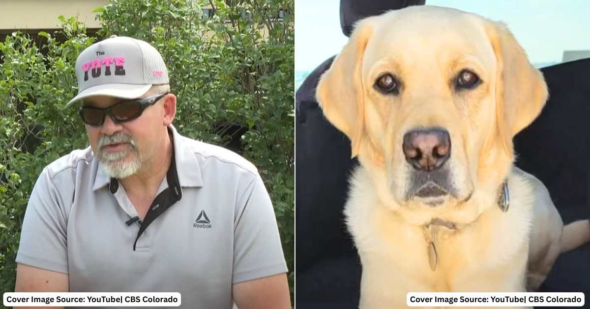 (L) Army and Marine Corps veteran Hank Ford speaks in interview. (Cover Image Source: YouTube| CBS Colorado), (R) Tommy, Ford's service dog who saved his life. (Cover Image Source: YouTube| CBS Colorado)