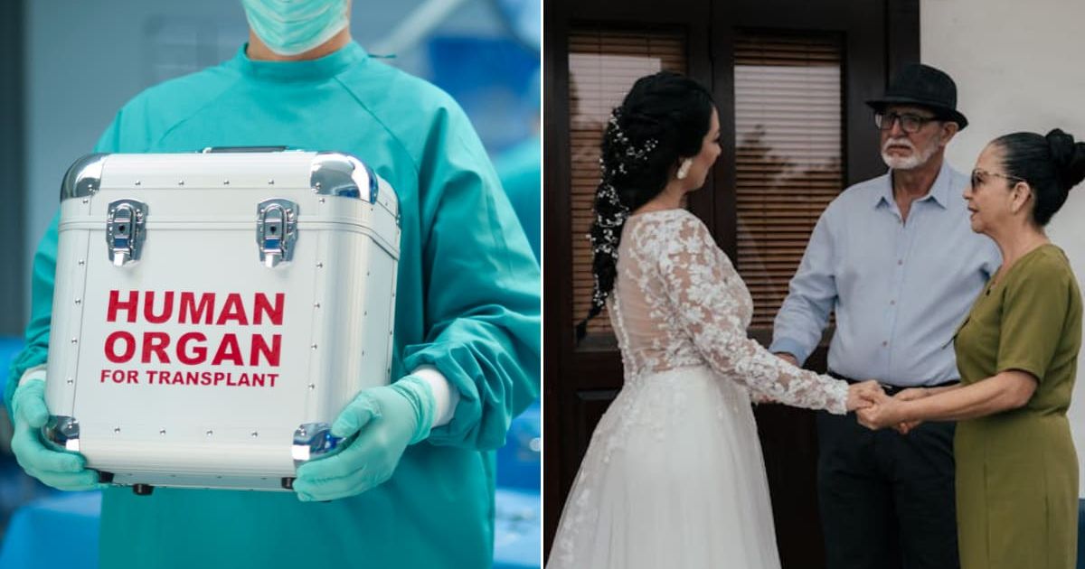 (L) Organs for transplant procedure. (R) Woman holding hands with senior couple. Representative Cover Image Source: Getty Images | Sturti; Pexels | George Chambers