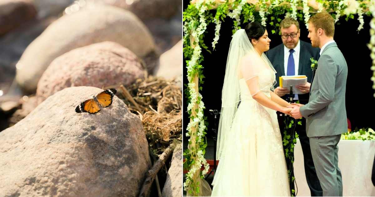 (L) Orange butterfly settling on surface. (Representative Cover Image Source: Pexels| cottonbro studio), (R) Bride and groom exchanging vows during wedding ceremony. (Representative Cover Image Source: Pexels| Juliana Navajas Robb)