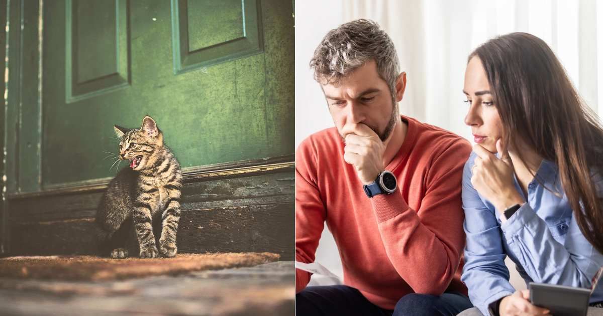 (L) Cat getting restless near doorstep. (Representative Cover Image Source: Pexels| aburrell), (R) Couple worried and confused. (Representative Cover Image Source: Getty Images| Simple Images)