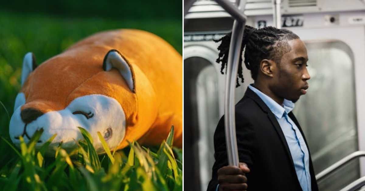 (L) An orange plushie. (R) A man on the train. Representative Cover Image Source: Pexels | FOX; Ketut Subiyanto