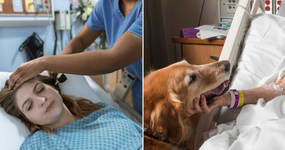 (L) Woman at a hospital. (R) Therapy dog at a patient's bedside. Representative Cover Image Source: Pexels | RDNE Stock Project; Getty Images | Barbara Brady-Smith