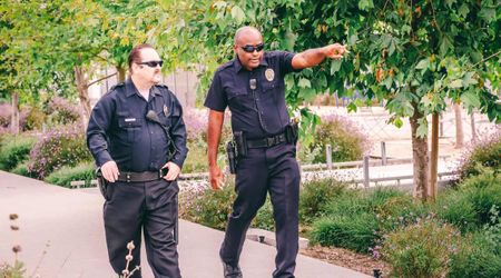 Police officers walking by a man's house took one look at his lawn and blurted out in disbelief, 'Is this real?'