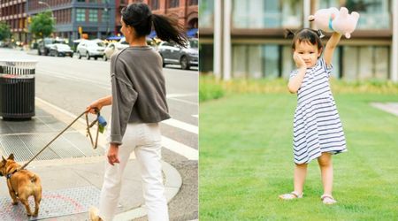 Disabled dog on walk stood stock-still to stare across the street—her next move helped save a toddler's life