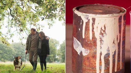 Couple dug up a half-buried old cans they noticed while walking their dog — it revealed treasure worth $10M