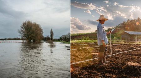 3 children were stuck in the middle of flash floods with no hope of making it out—farmer's unconventional thinking saved their lives