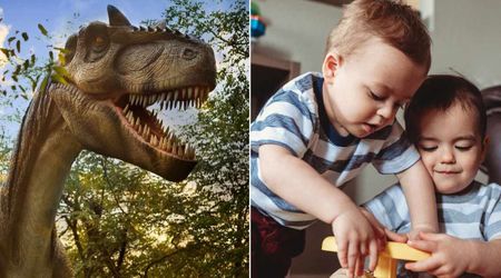 Toddler sees T-Rex lunging at siblings at amusement park—unaware it's fake, his instant reflex amazes the crowd
