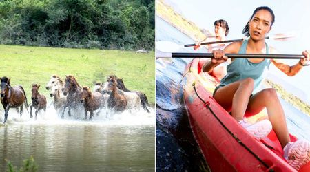 Teens kayaking near horses noticed something unusual—what they found led to a life-saving rescue