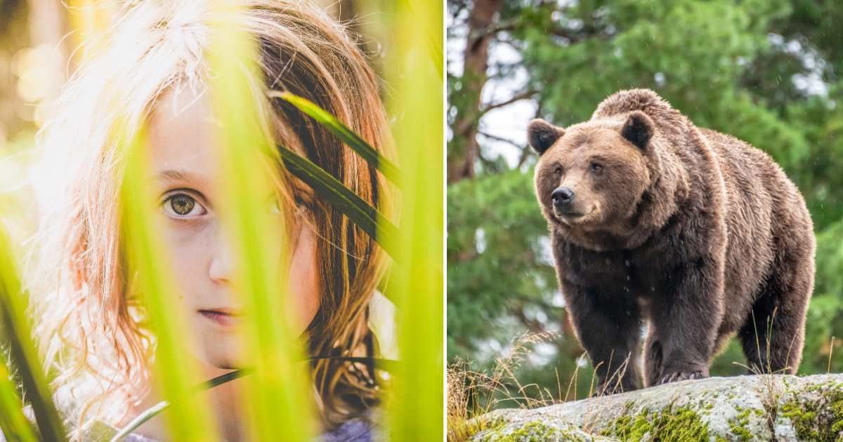 (L) Frightened little girl hiding behind grass. (Representative Cover Image Source: Getty Images| 	Lisa5201), (R) Bear prowling around in forest. (Representative Cover Image Source: Getty Images| 	Thomas Faull)