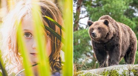 5-year-old girl survived three nights alone in a rain-drenched forest with a wild bear following her