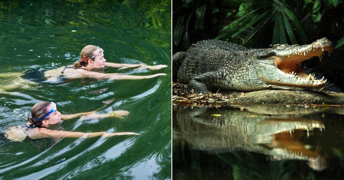 (L) Two women swimming in a river. (R) A crocodile close to a river. Representative Cover Image Source: Getty Images | Gary Yeowell; Vi Vien Lee