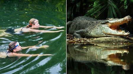Twin was terrified when crocodile dragged her sister under the water while swimming—her unwavering bravery saved her sister