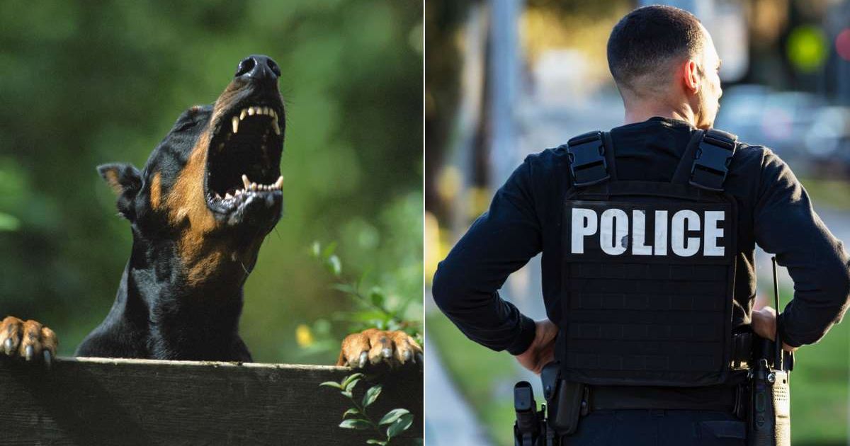 (L) A Doberman barking close to a fence. (R) A police officer looking at something. Representative Cover Image Source: Getty Images | Connect Images Pink; kali9