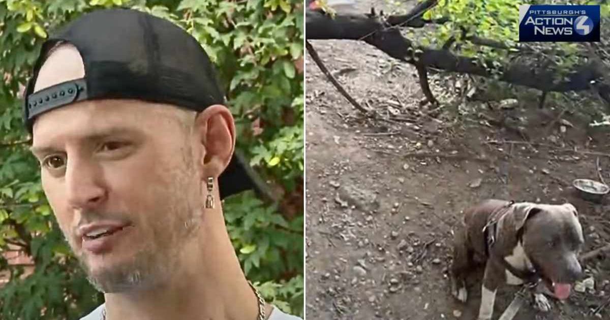(L) The man talking about the incident. (R) The dog who barked to get the man's attention. Cover Image Source: YouTube | WTAE-TV