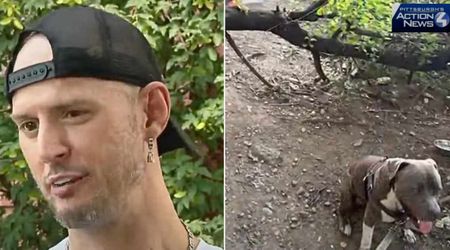 Dog's unusual barking stopped stranger in his tracks—following the dog, he bravely saved 2 lives in the woods