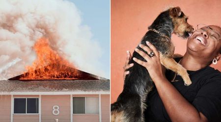 Family’s dog went missing during a house fire—one small detail made their reunion possible after 6 years