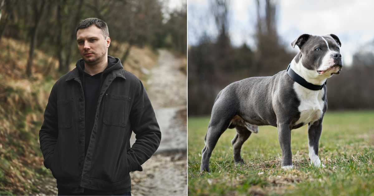 (L) Man looking confused after hearing something while walking. (Representative Cover Image Source: Getty Images| Yuliya Taba), (R) Pet pitbull barking frantically outdoors. (Representative Cover Image Source: Getty Images| Vladimir Cizmar)