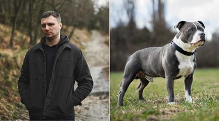 Man walking dog was approached by puppy—he made a life-saving discovery after following the pup