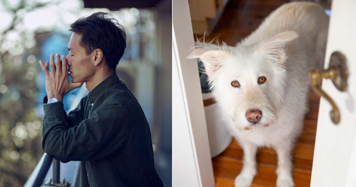 (L) Stressed man having depressive thoughts. (Representative Cover Image Source: Getty Images| Akio Maeshima), (R) Dog somberly waiting at door and looking at owner. (Representative Cover Image Source: Getty Images| Jena Ardell)