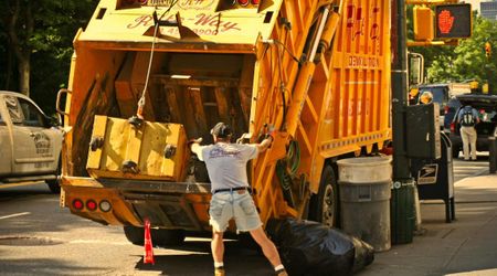 Trash truck driver was about to empty dumpster—then a startling sight in garbage made him get out of the truck immediately