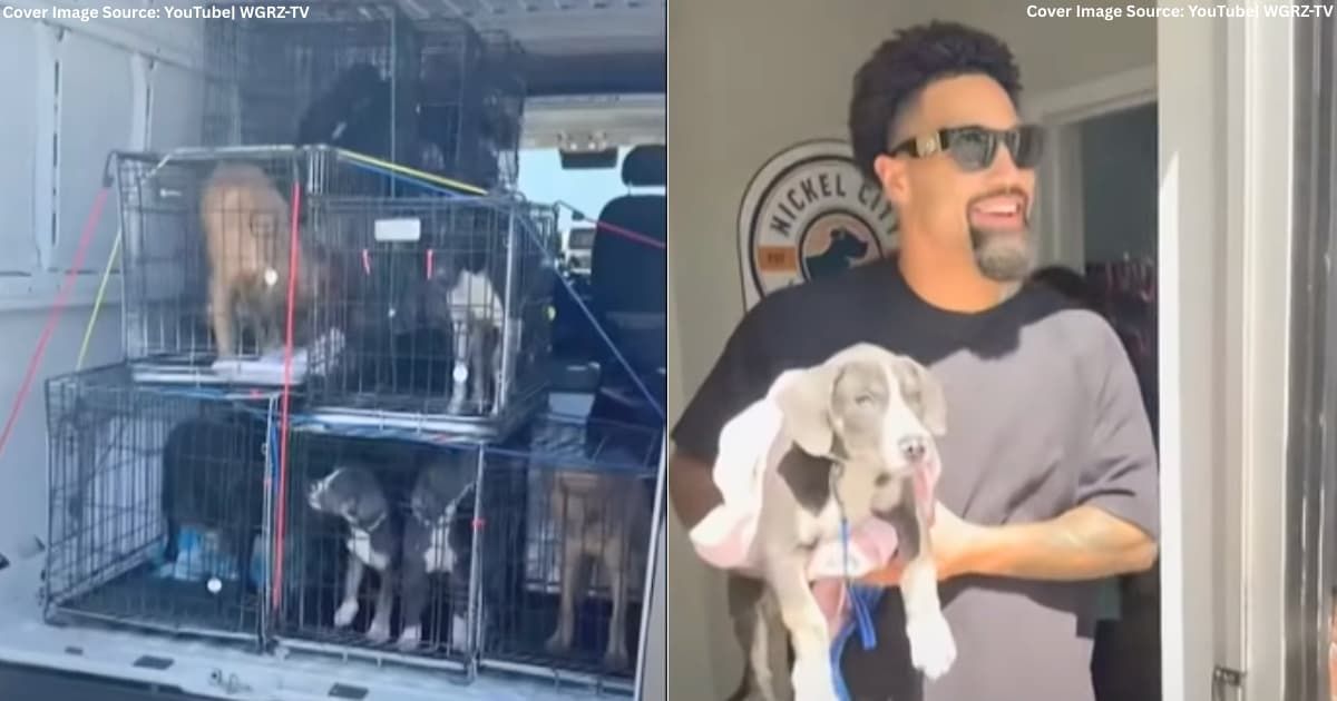 (L) Shelter dogs in a truck taken to be euthanized; (R) NFL wide receiver Khalil Shakir holding one of the shelter dogs. (Cover Image Source: YouTube | WGRZ-TV)