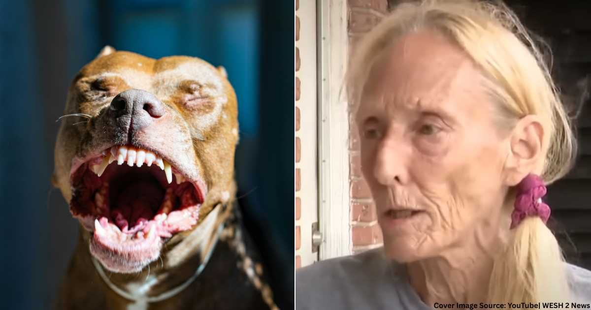 (L) Fierce-looking pitbull barking aggressively. (Representative Cover Image Source: Pexels| Carvalho Renato), (R) 70-year-old Shirley Pasamanick speaks in interview after saving her pet. (Cover Image Source: YouTube| WESH 2 News)