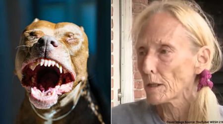 70-yr-old woman tried to stop pitbull from attacking pet dog but in vain—then, she did the unimaginable to save him