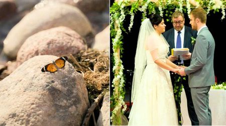 A butterfly was repeatedly appearing on bride’s veil during vows—the officiant made a comment that left her in tears