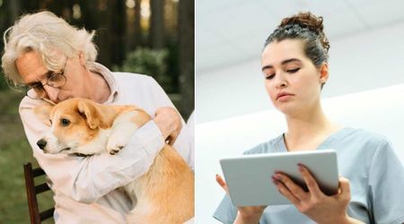 Sick patient was forced to give up his elderly dog—then a nurse's unexpected visit to shelter changed his life