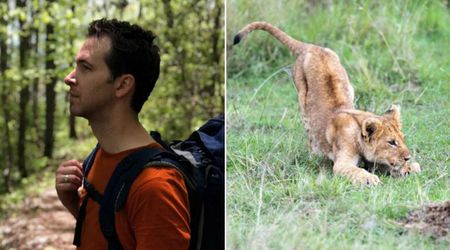 21-yr-old musician was charged by mountain lion while hiking—one specific sound made by him scared big cat off