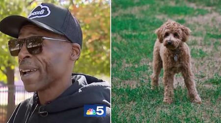 Man was devastated after poodle disappeared from backyard — 10 years later, a call from another state changed his life