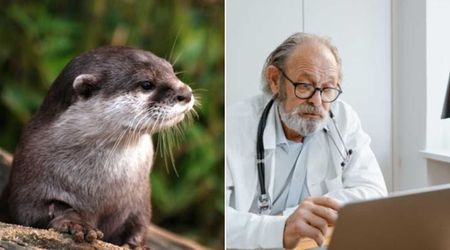 4-yr-old gets bitten by wild otter and rushed to ER—doctor's google search leaves mom stunned