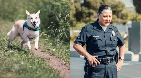 Deputy looking for missing 86-year-old grandma finds a dog 'asking' her to follow him — and ended up saving her 