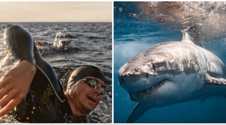 Long-distance swimmer was attacked by a shark in open waters—his unflinchingly brazen response helped him get out alive