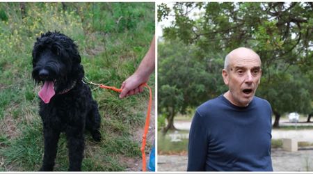 Deaf man noticed service dog acting strangely—he couldn't believe his eyes when he followed the dog to 'deep slimy mud'