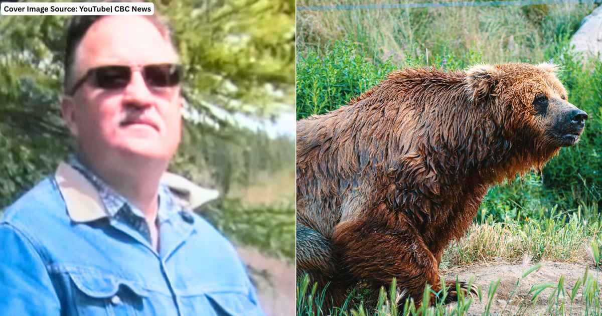 (L) 63-year-old Joe Pendry attacked by bear. (Cover Image Source: YouTube| CBC News), (R) Grizzly bear growling in forest. (Representative Cover Image Source: Pexels| Brett Sayles)