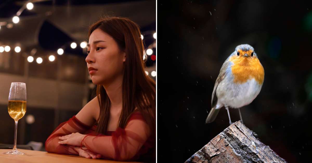 (L) Woman looking sad at a restaurant. (R) Little bird perched on a log. Representative Cover Image Source: Getty Images | Complexio; Cris Canton