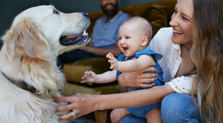 Dog helped owner take care of baby all night — then did the most human thing ever