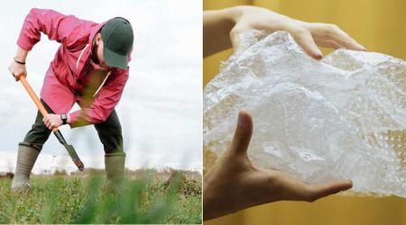 Man digging yard to make swimming pool stumbled upon plastic bags. When he opened them, he found treasure worth $80,000