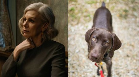 Pet parent was scared when a stranger kept following them at Walmart. When she realized the truth, they hugged each other