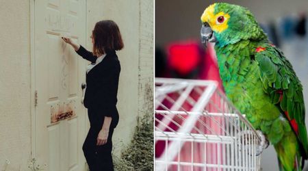 Man kept mimicking neighbor’s parrot until its owner knocked on his door —  with a strange request