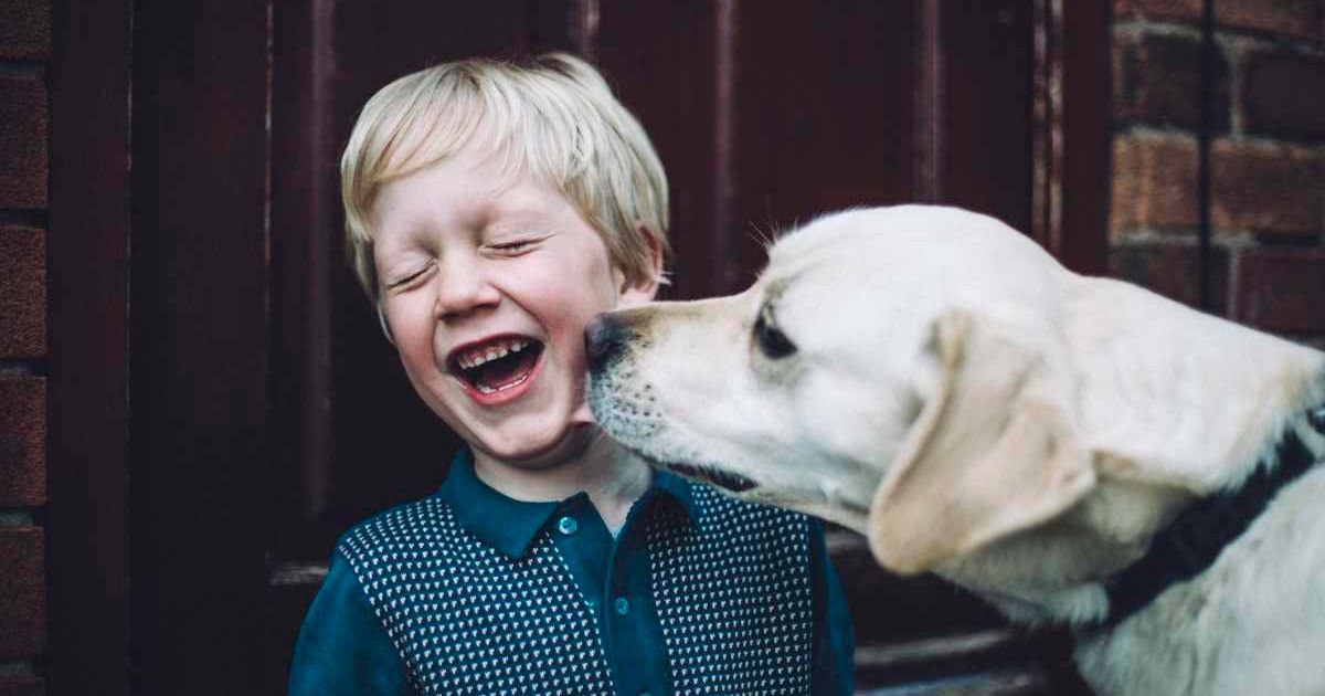 Child laughing as a dog licks his face. Representative Cover Image Source: Getty Images | Sally Anscombe